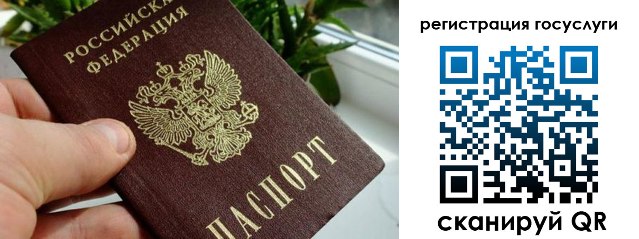 прописка для кредита в Колпашево